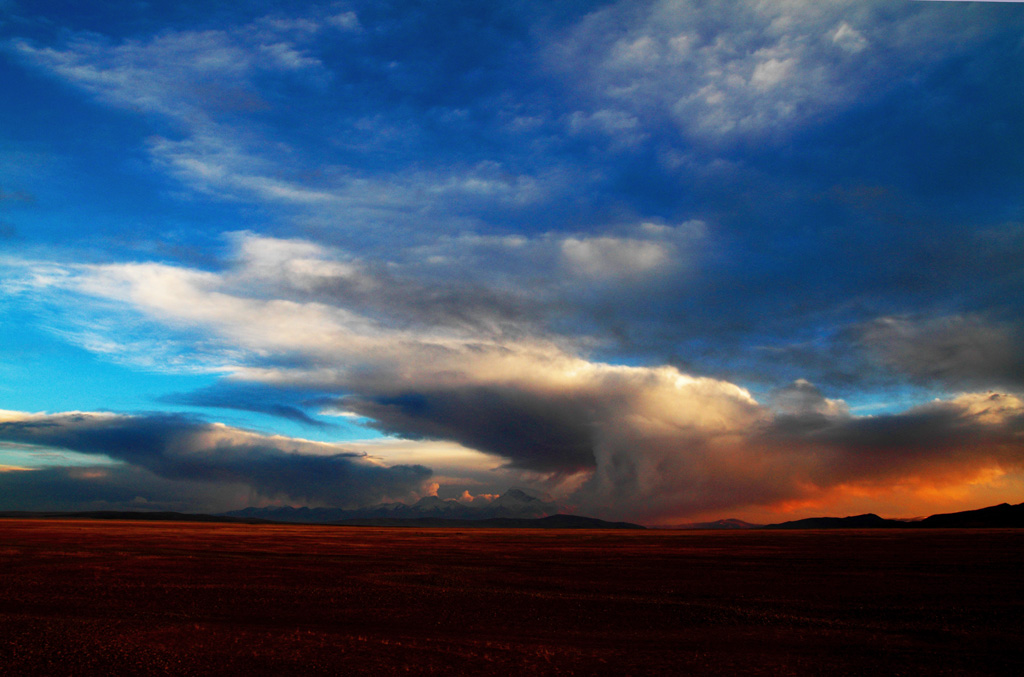_MG_2663.JPG
