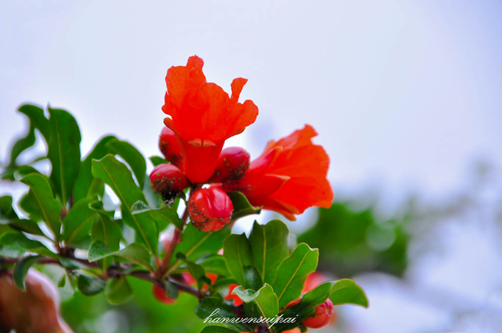 DSC_0002.JPG