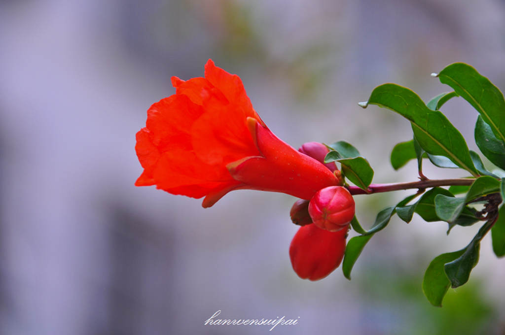 DSC_0011.JPG