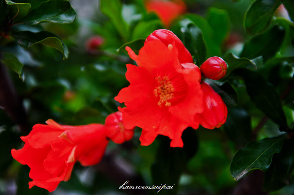 DSC_0012.JPG