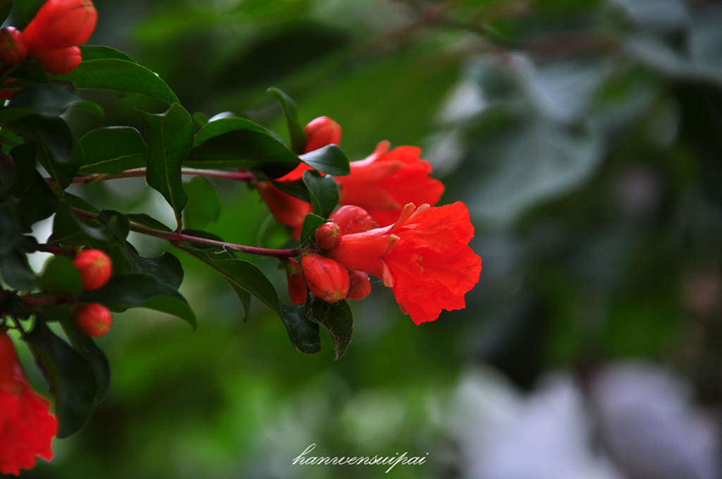 DSC_0019.JPG
