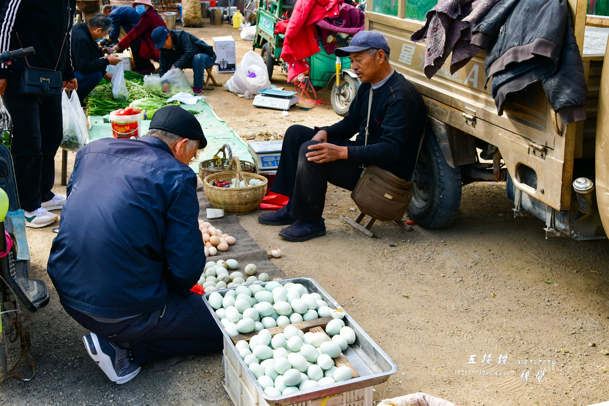 DSC_8817.JPG