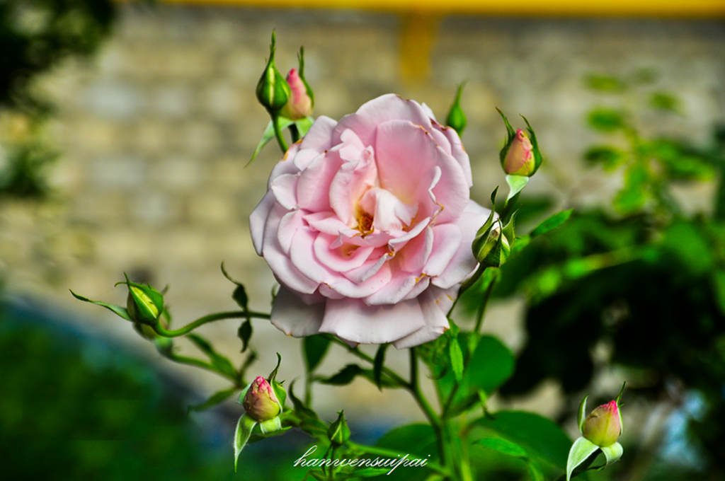 DSC_0007.JPG