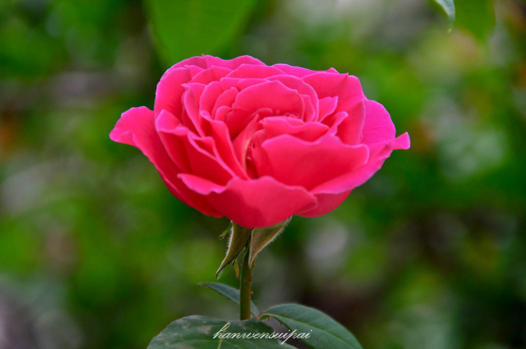 DSC_0020.JPG