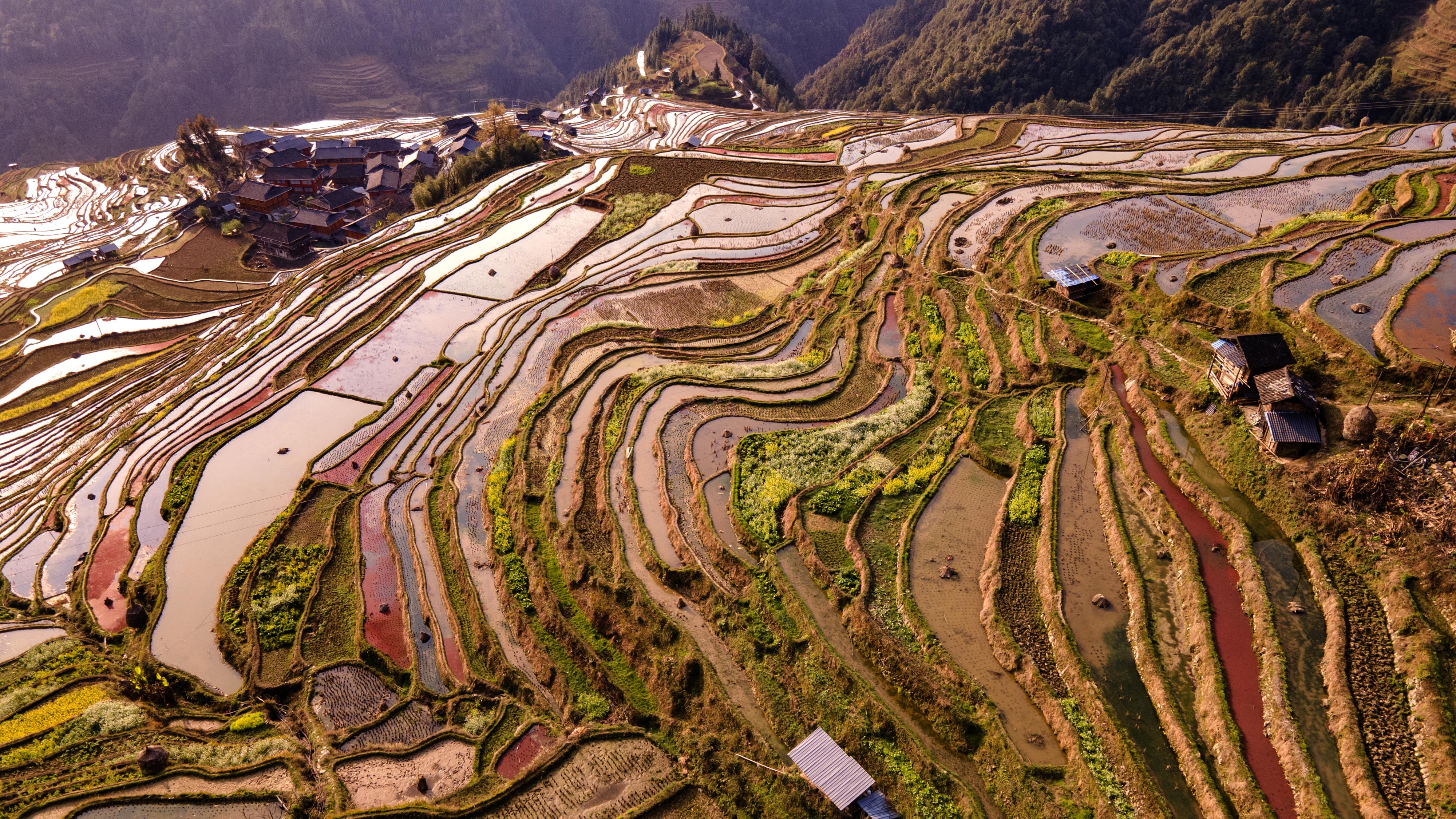 DJI_0548.jpg