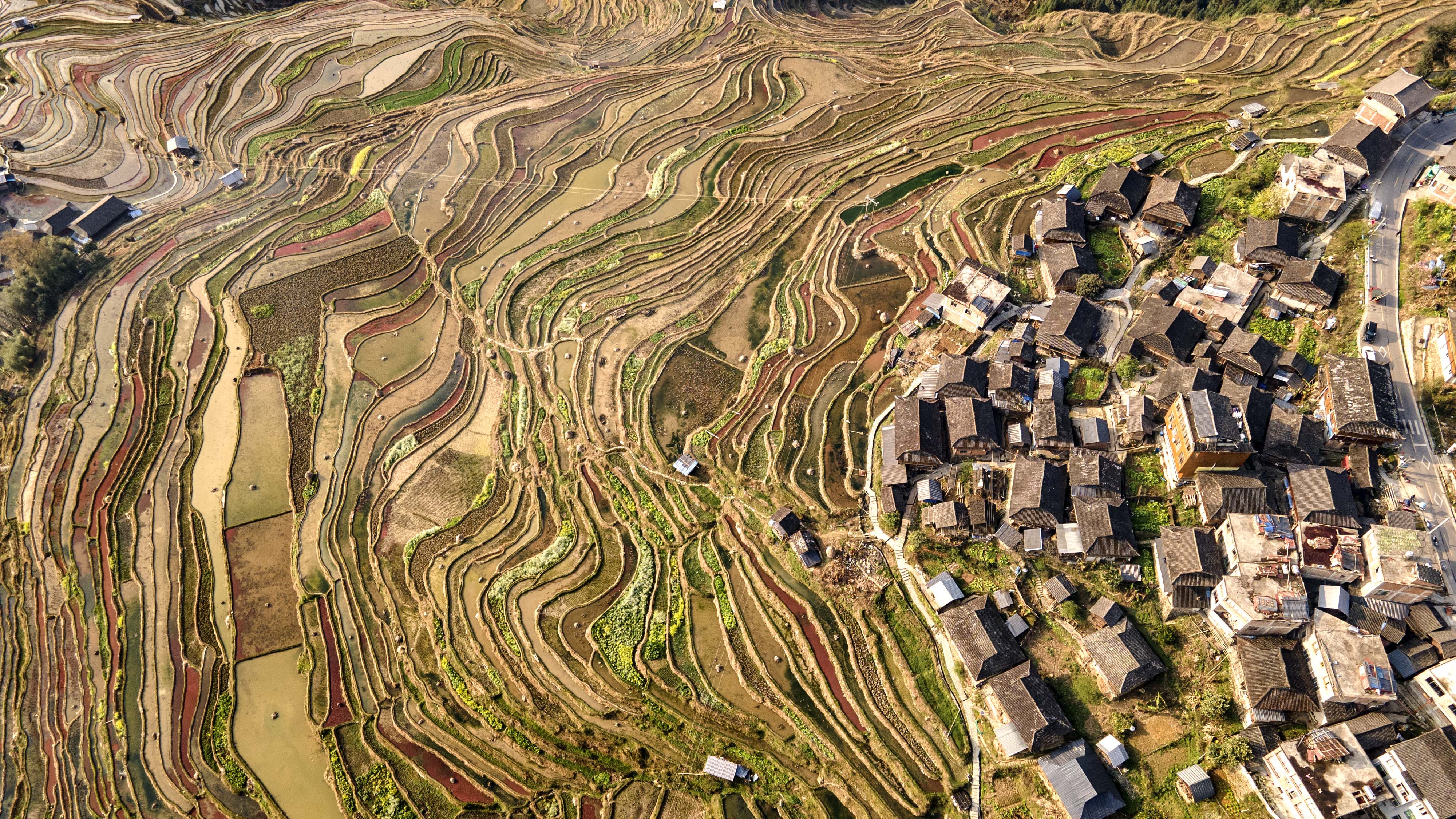 DJI_0555.jpg