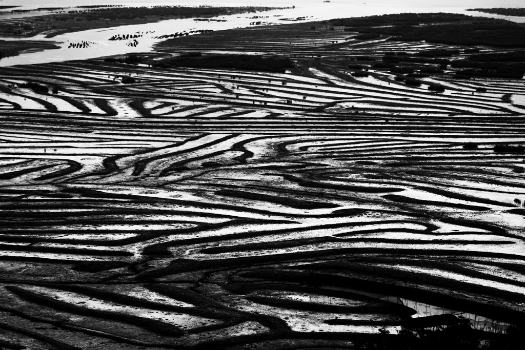 _MG_5237.JPG
