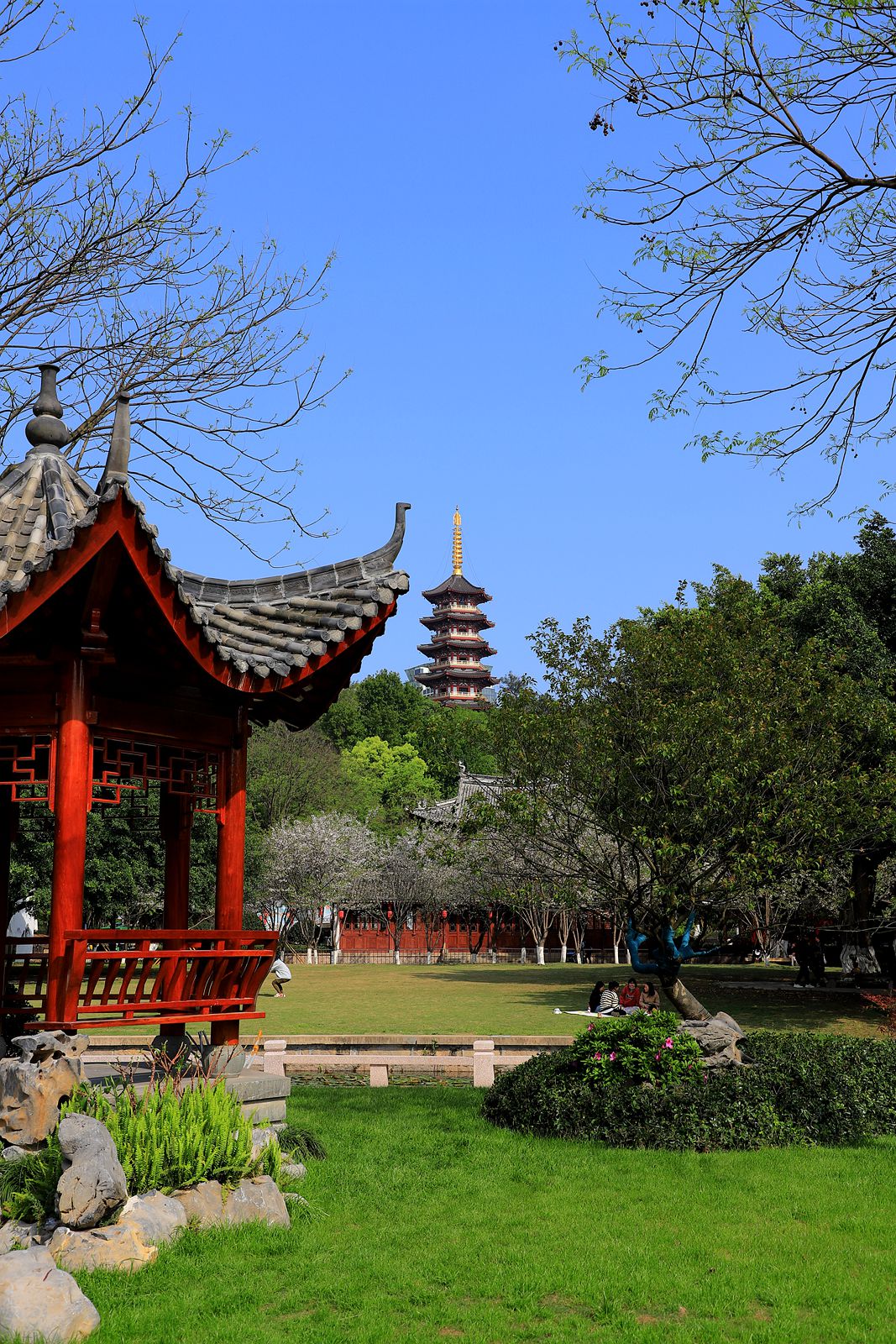 IMG_7335_副本.jpg