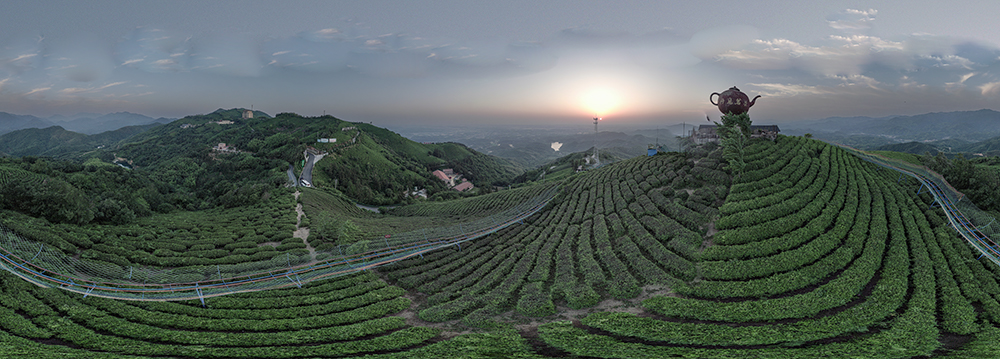 俯瞰西九华山妙高茗茶基地全景2-26-7.jpg