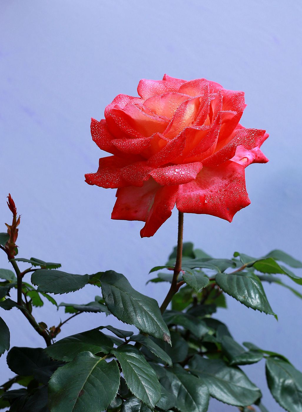 IMG_8911_副本_副本.jpg