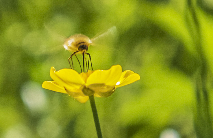 _MG_5041.jpg