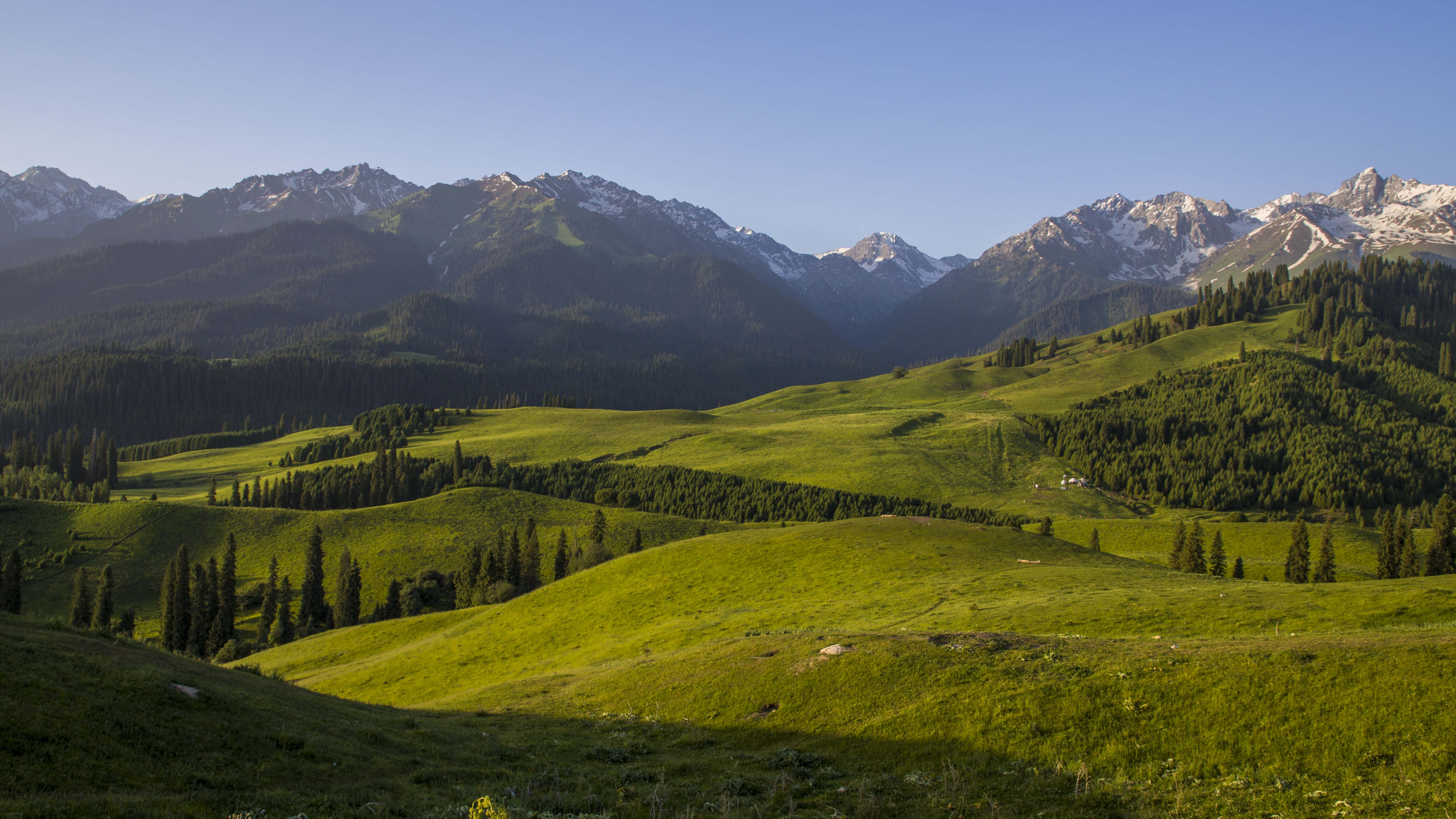 _MG_5126.jpg