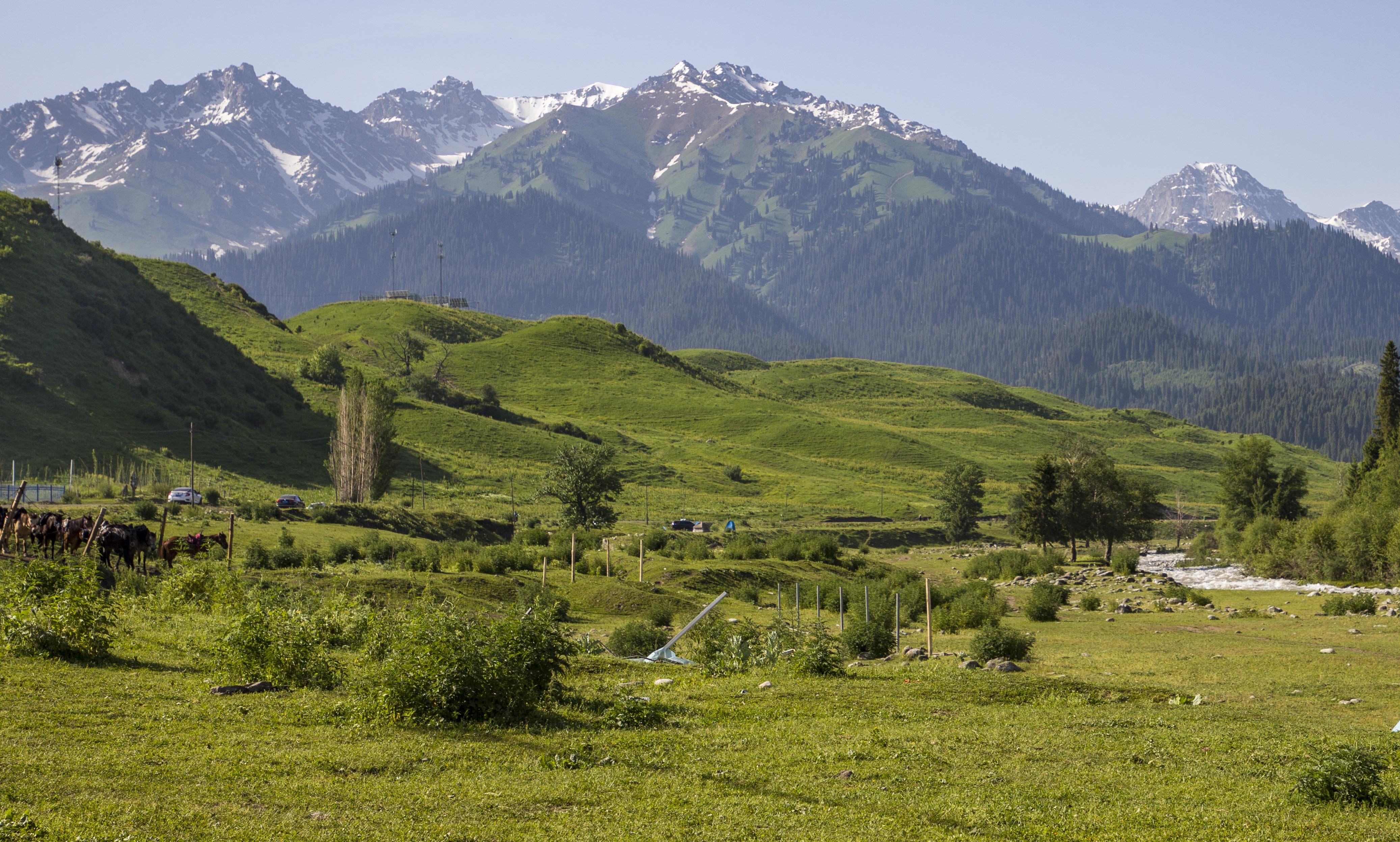 _MG_5148.jpg