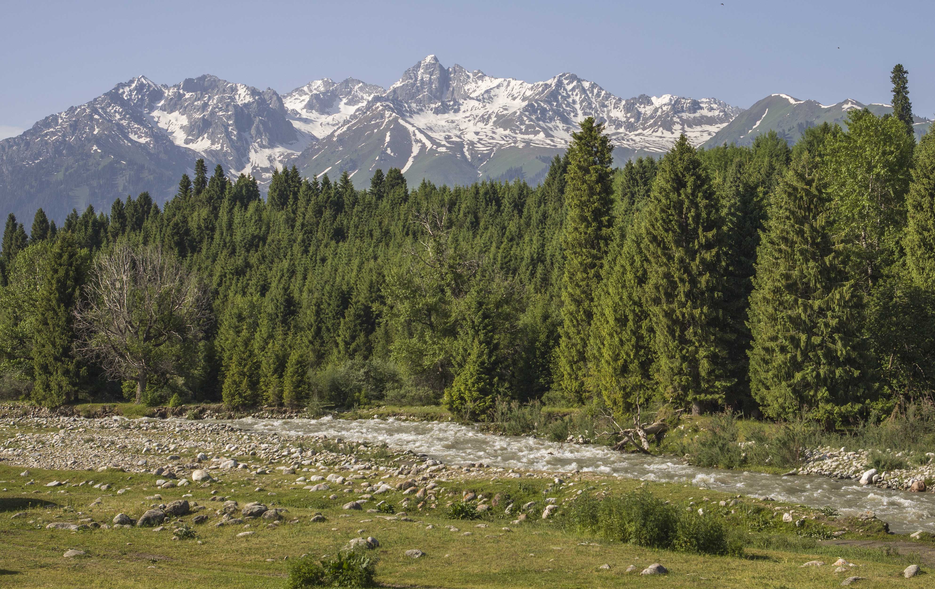 _MG_5150.jpg