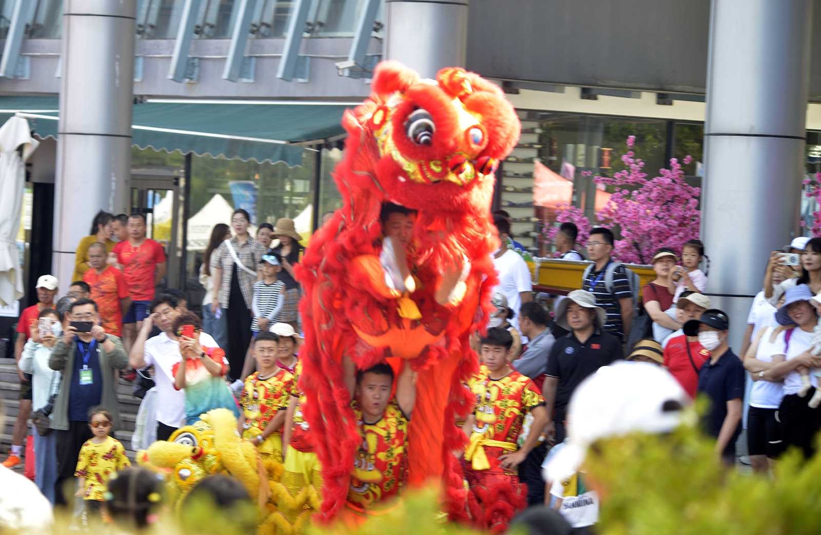 _DSC0098.JPG
