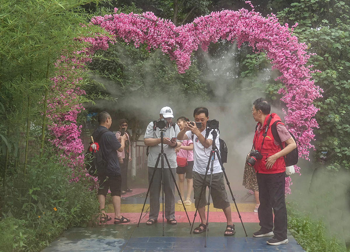 2aDSC00198拷贝.jpg