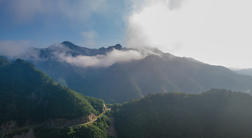 DJI_0224.jpg