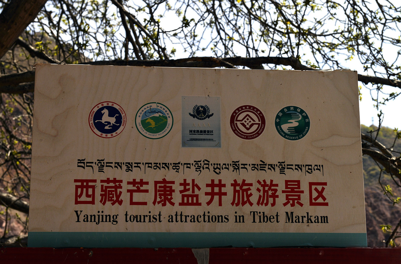 _DSC0118.JPG