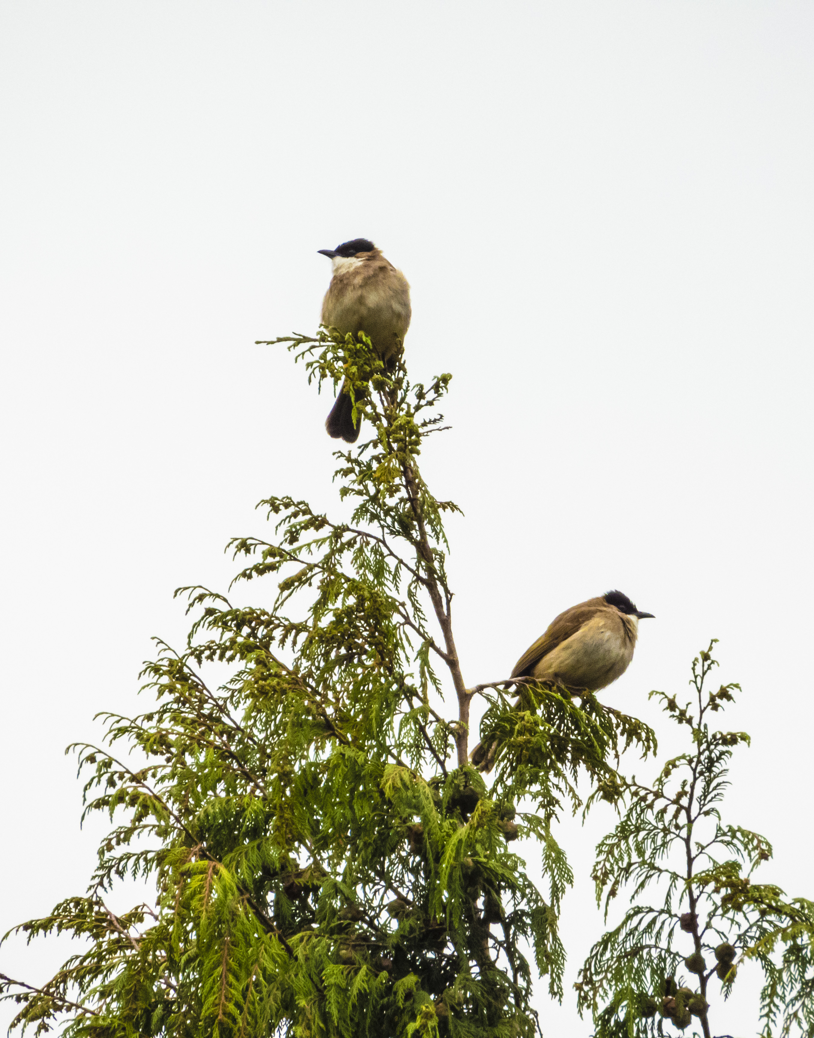 DSCN2812.jpg