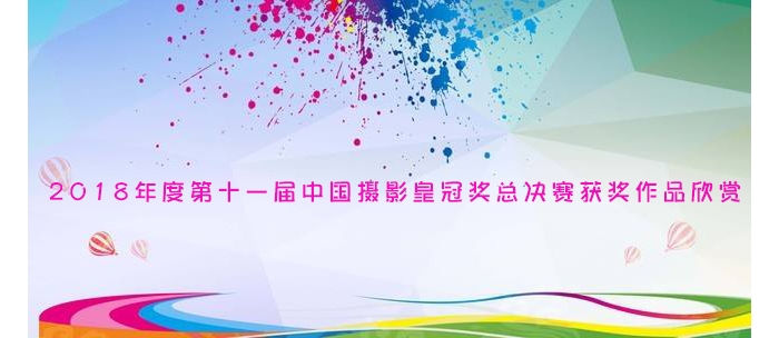 第十一届中国摄影皇冠奖总决赛获奖作品欣赏